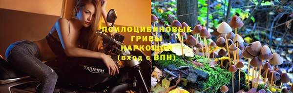 2c-b Баксан