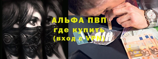 ГАЛЛЮЦИНОГЕННЫЕ ГРИБЫ Балахна