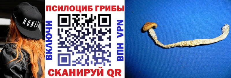 Галлюциногенные грибы мухоморы  как найти закладки  Новоалександровск 